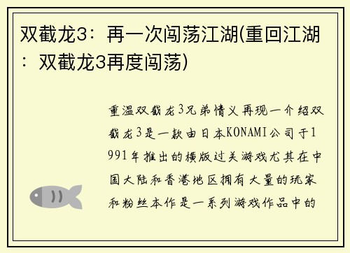 双截龙3：再一次闯荡江湖(重回江湖：双截龙3再度闯荡)